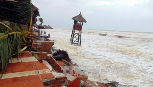 Thử nghiệm làm kè mỏ hàn chống sạt lở bờ biển Cửa Đại ảnh 1